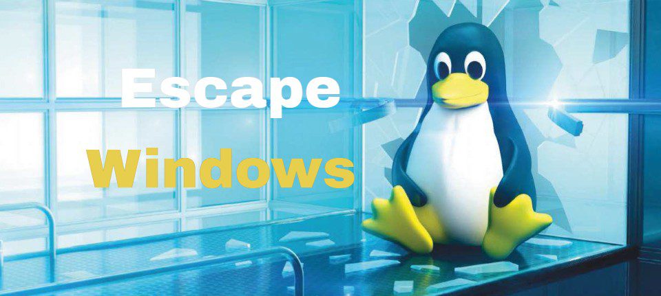 Breaking Free from Windows Server with Linux