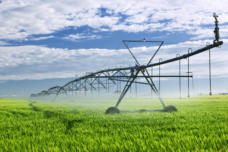 Water Conservation Through Intelligent Irrigation Systems