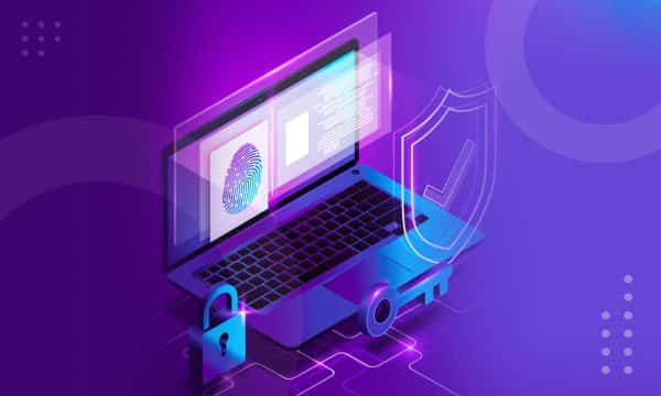 What is a Software Security Assessment?