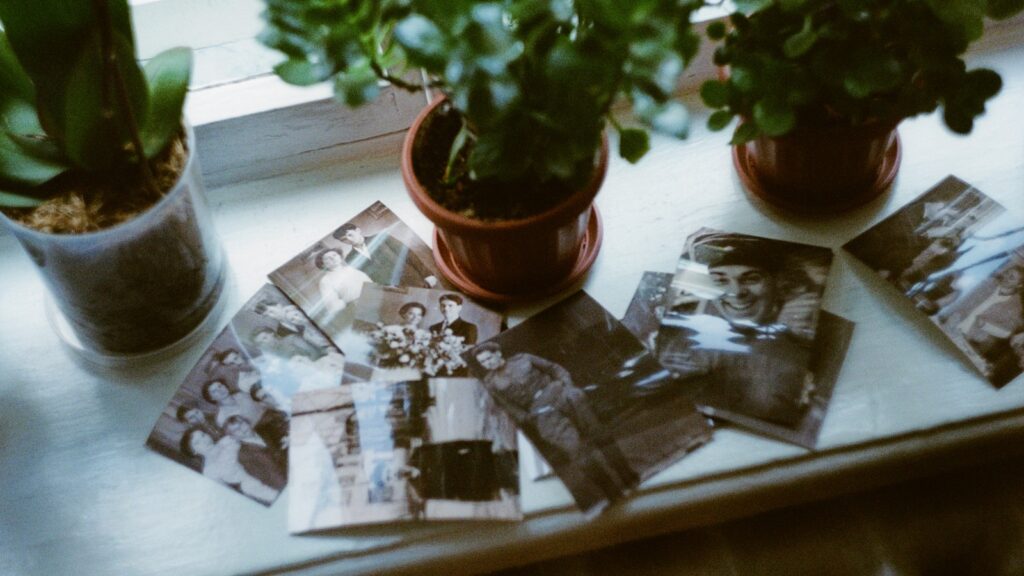 HitPaw Photo Restoration business archive workflow represented by a table of old photos and plants.
