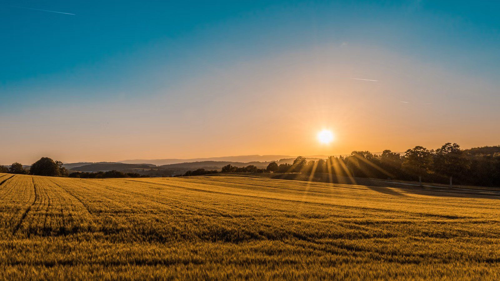 Agritech Infrastructure: connected farmland prepared for autonomous farming equipment