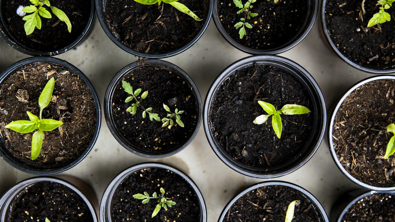 Agritech Infrastructure: Scalable IT and IoT for Autonomous Farming and Soil Analytics 8 Agritech Infrastructure: soil sampling workflow for real-time analytics.