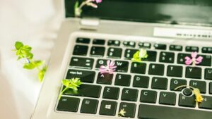 Digital Carbon Footprint: 7 Powerful Ways to Cut It