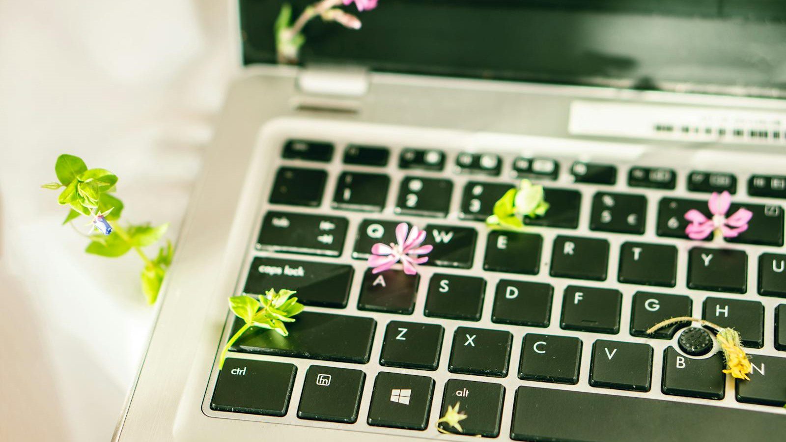 digital carbon footprint reduction shown by a laptop with flowers and sustainable technology