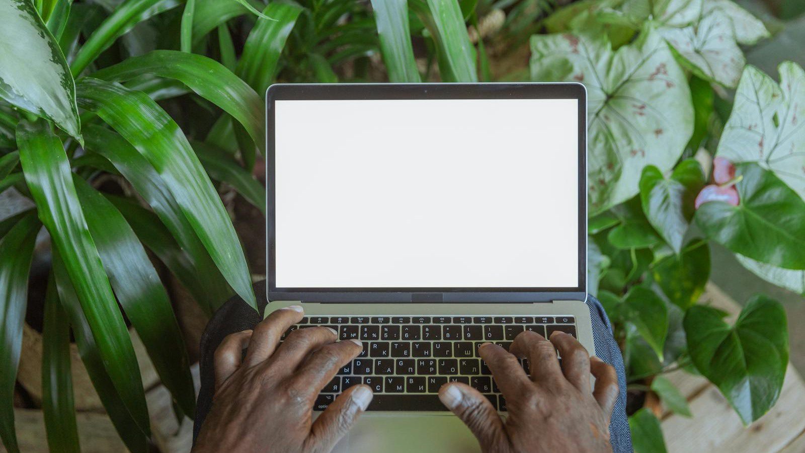 Digital Carbon Footprint: 7 Powerful Ways to Cut It 11 digital carbon footprint at a glance with hands typing on a laptop surrounded by green plants