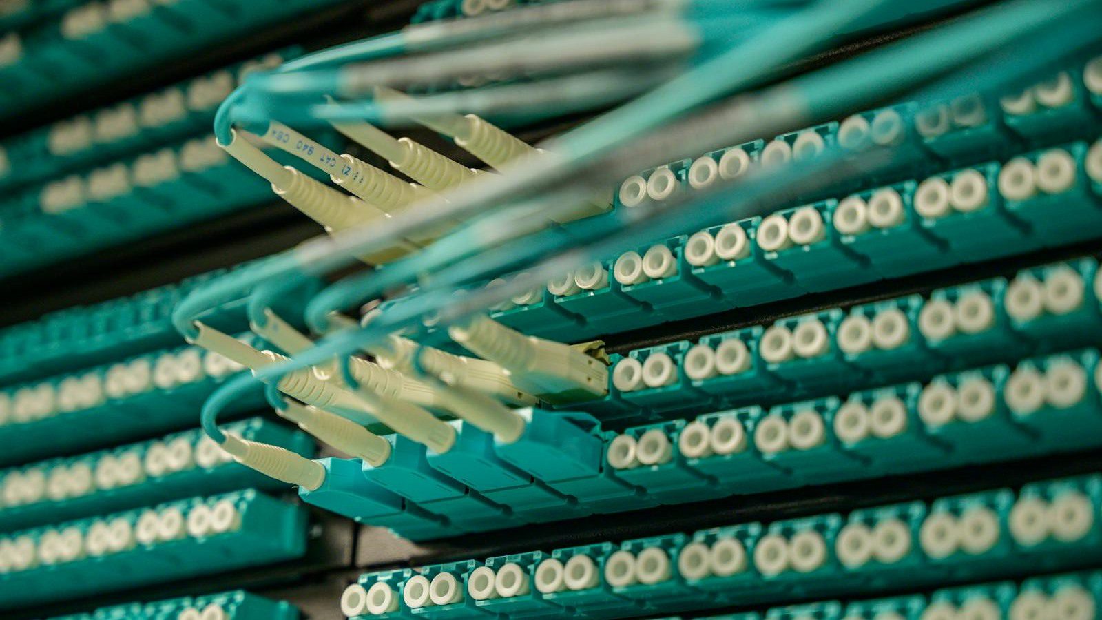 Digital Carbon Footprint: 7 Powerful Ways to Cut It 12 fiber optic cables in a server rack representing measurement of cloud and website emissions