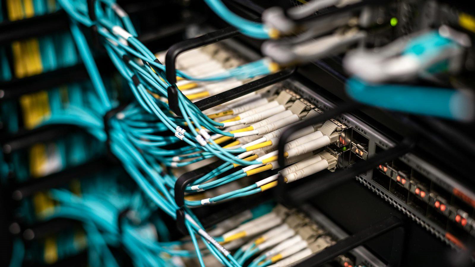 Digital Carbon Footprint: 7 Powerful Ways to Cut It 14 organized server patch panel cables representing cleaner storage and collaboration data