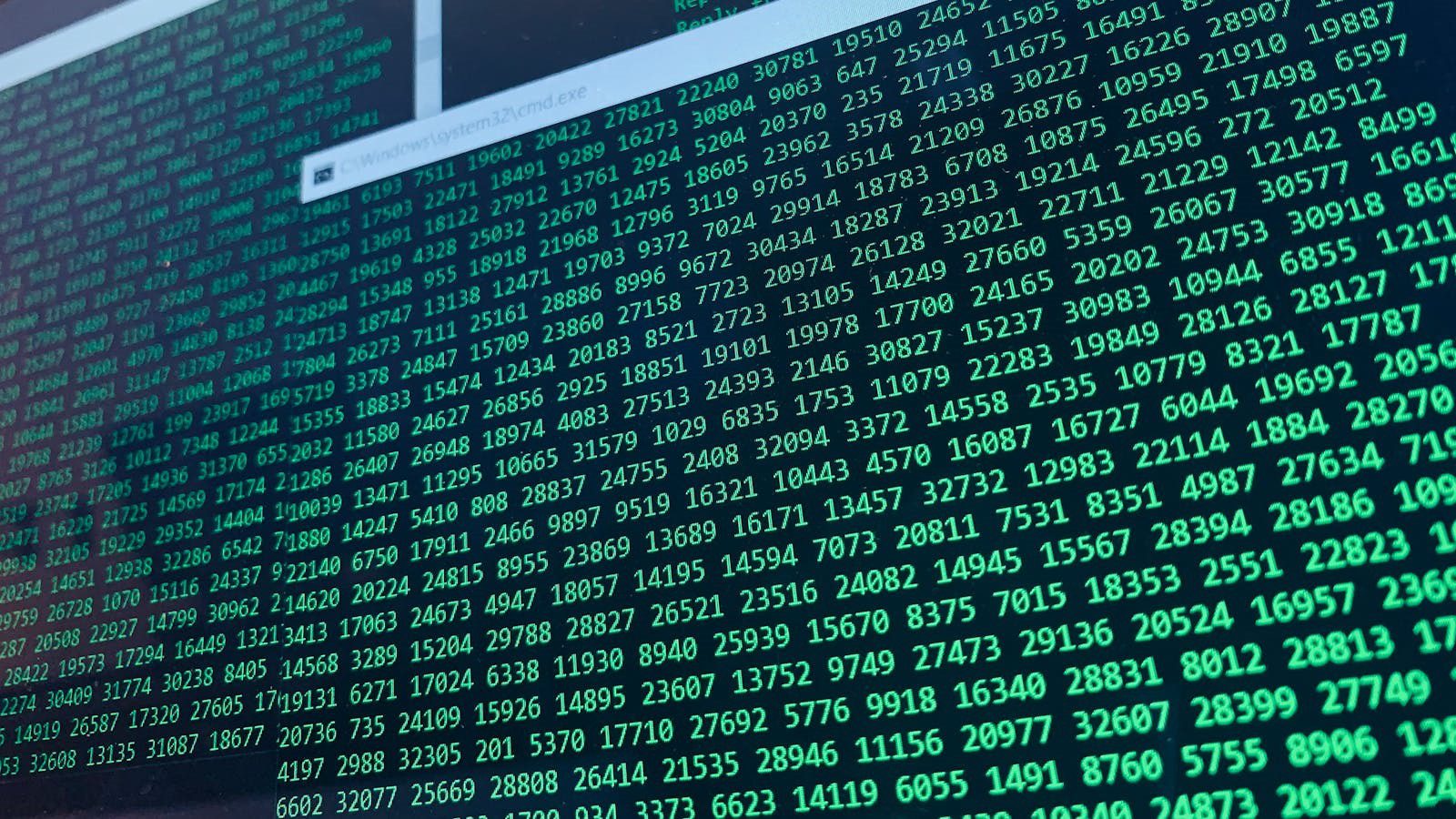 binary code screen used for enterprise ransomware attacks FAQ and cybersecurity answers
