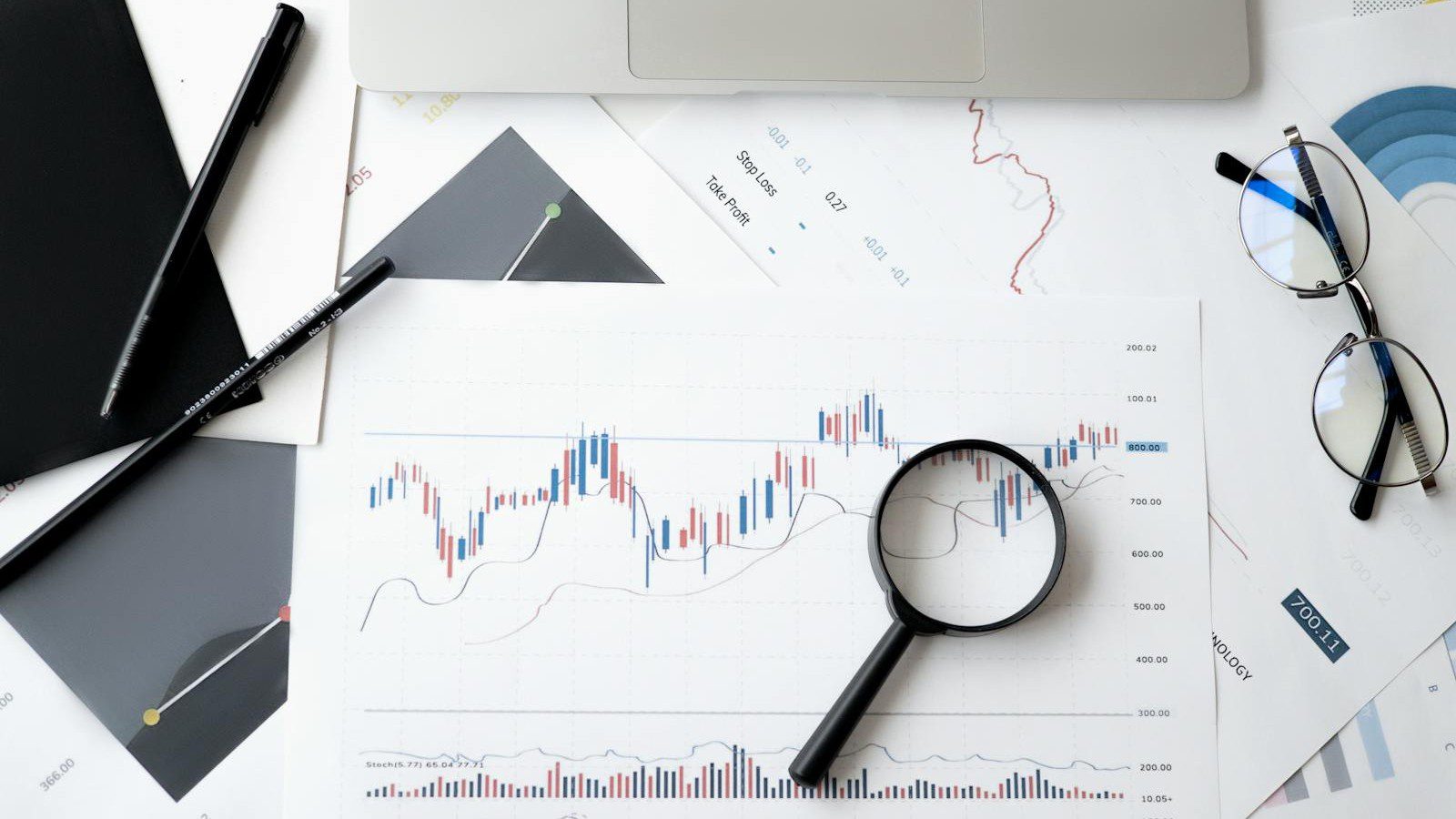 IT Audits: software cost audit review and waste discovery.