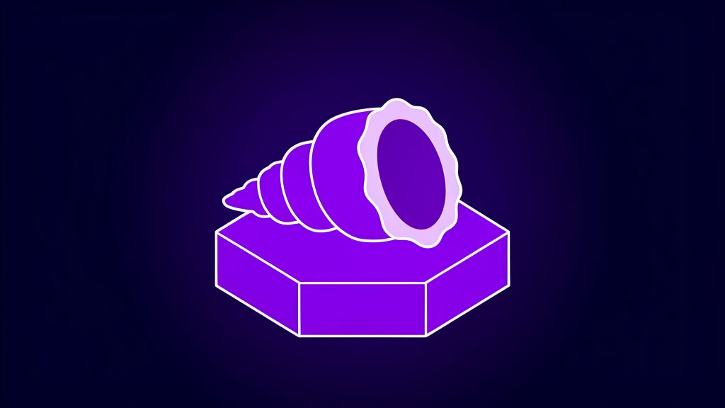 mai transcribe 2 aixploria c conch seashell lying on its side