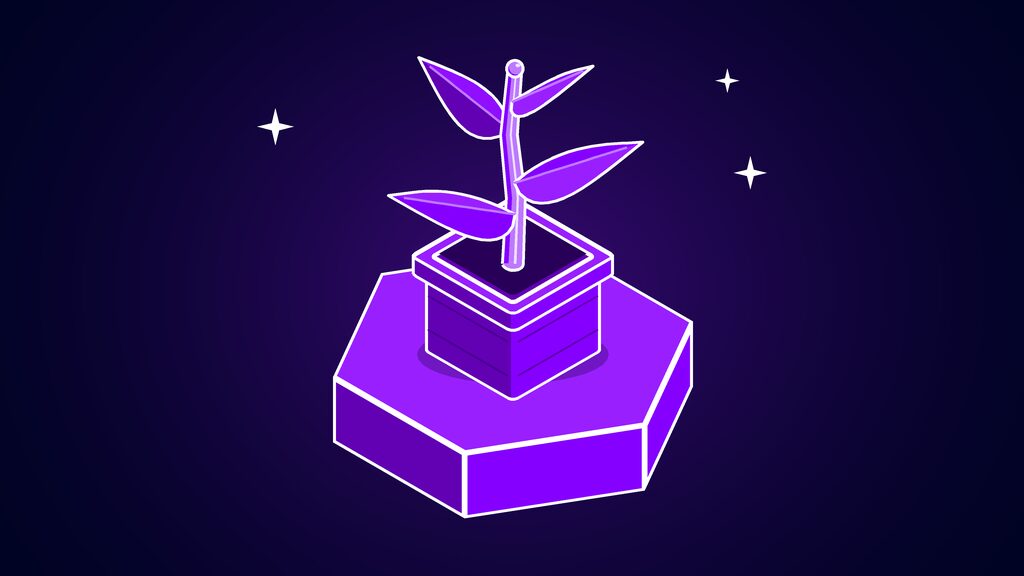 Young sapling with four leaves growing in a square planter, standing for a fast-growing startup