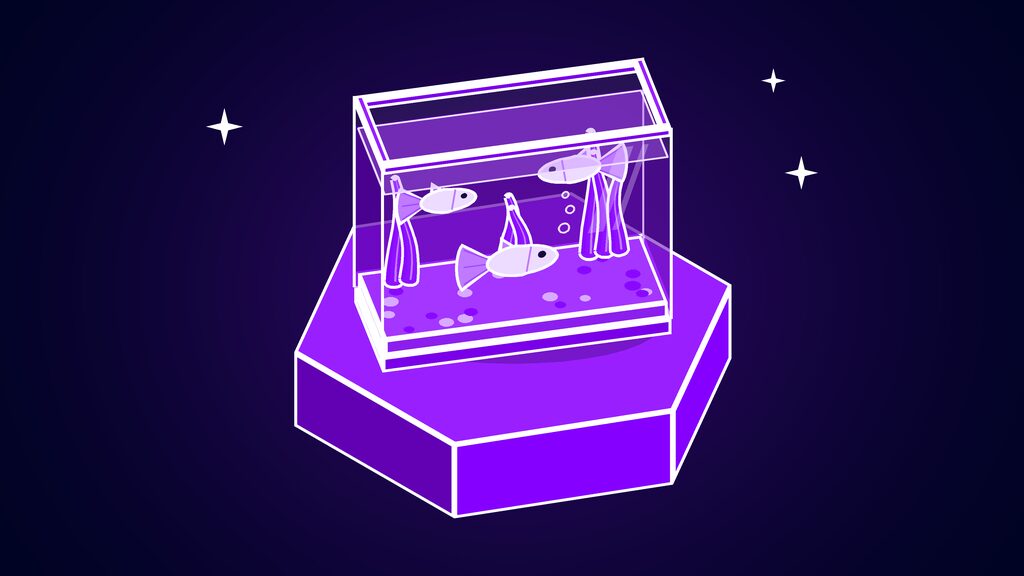 Glass fish tank with plants and three small fish, standing for Musk's guppy-level warning to neoclouds
