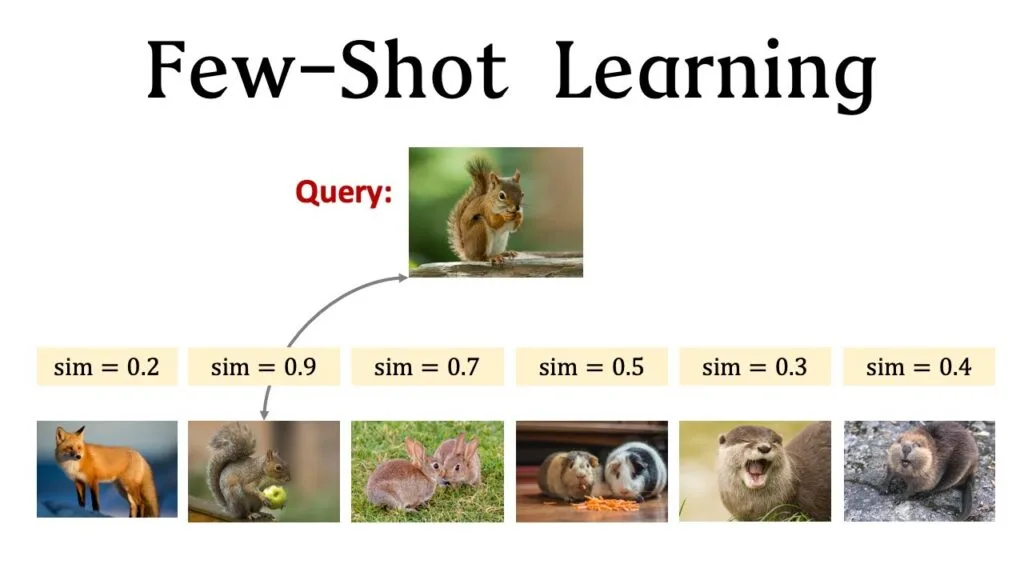 Learning in a Flash: Demystifying N-shot Learning 6 Understanding Few-shot Learning