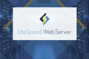 Unleashing the Power of LiteSpeed Web Server: A Performance Revolution