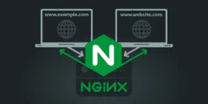 The Ascendance of Nginx: Unraveling Its Popularity in Web Server Domains