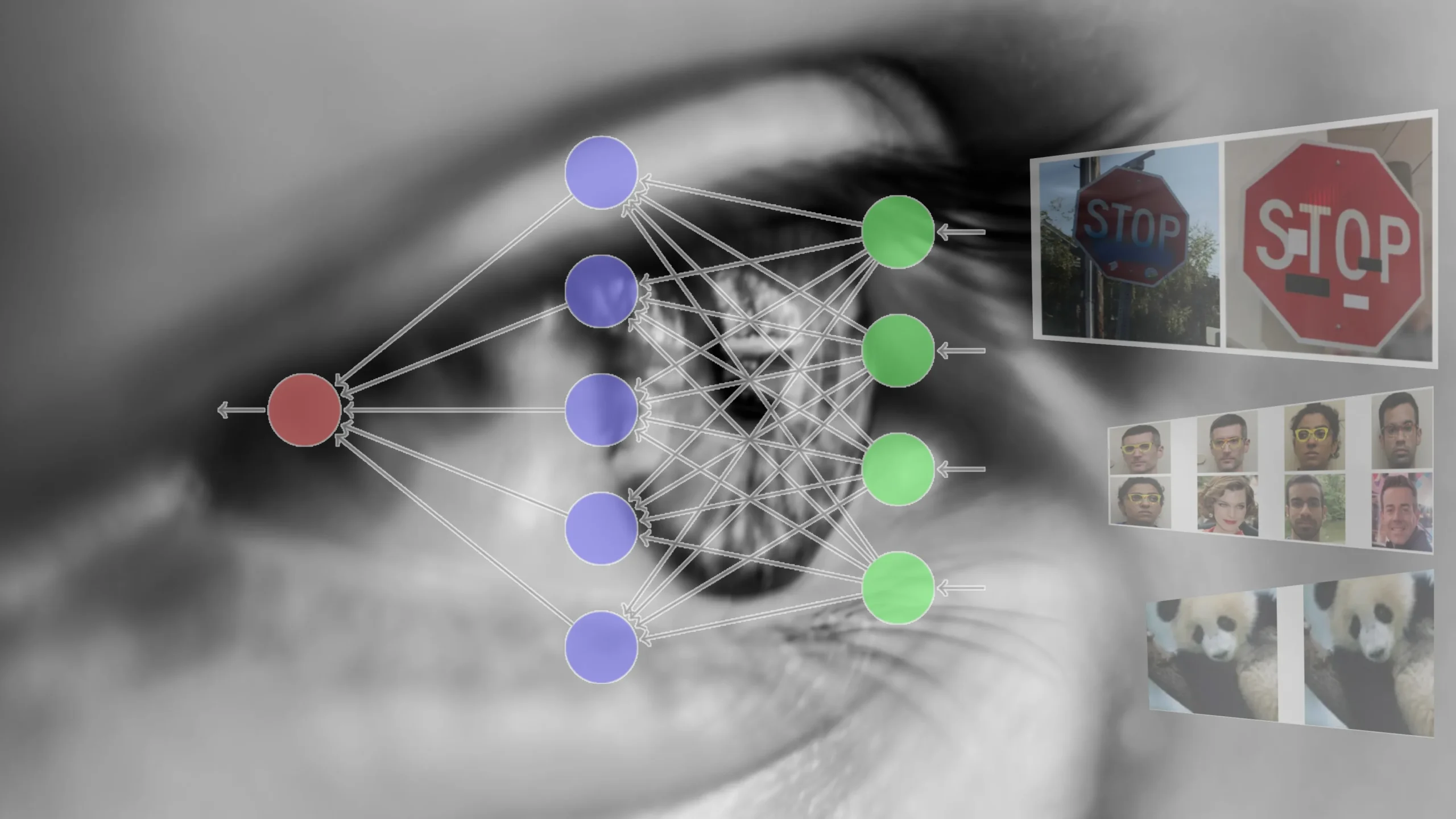 Building Resilient ML Models that are Robust to Adversarial Attacks
