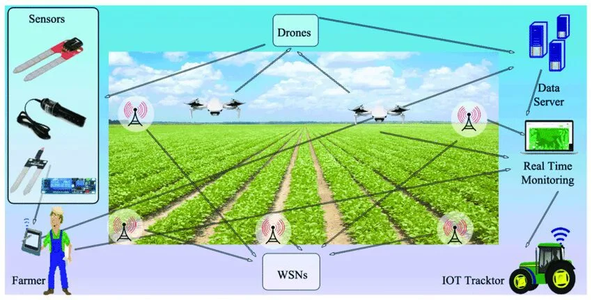 Investigating the Potential of IoT for Smart Agriculture