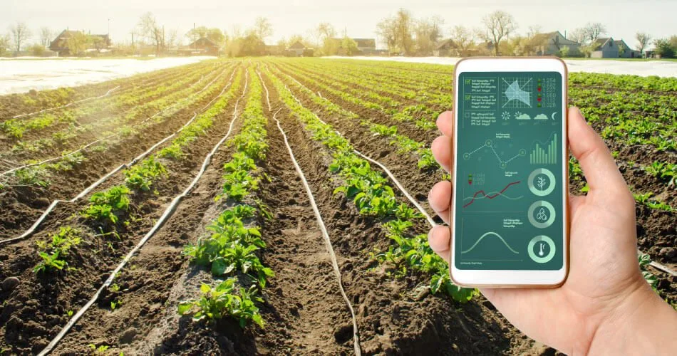Investigating the Potential of IoT for Smart Agriculture 13 IoT-Enabled Crop Monitoring