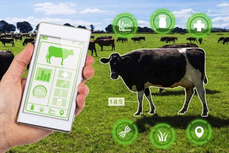 Investigating the Potential of IoT for Smart Agriculture 15 Livestock Monitoring and Management