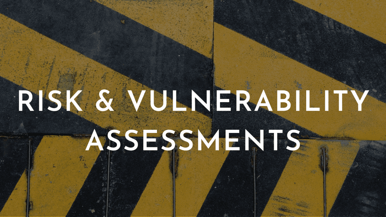Risk Assessment and Vulnerability Identification
