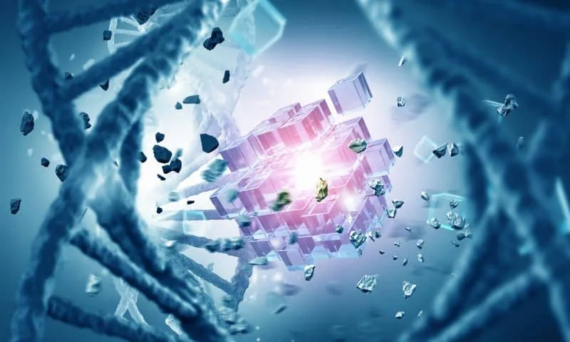 Unleash the Potential of Internet of Nano Things 12 Security and Privacy Concerns in Nano IoT