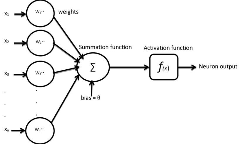 Structure and Function of Artificial Neural Networks