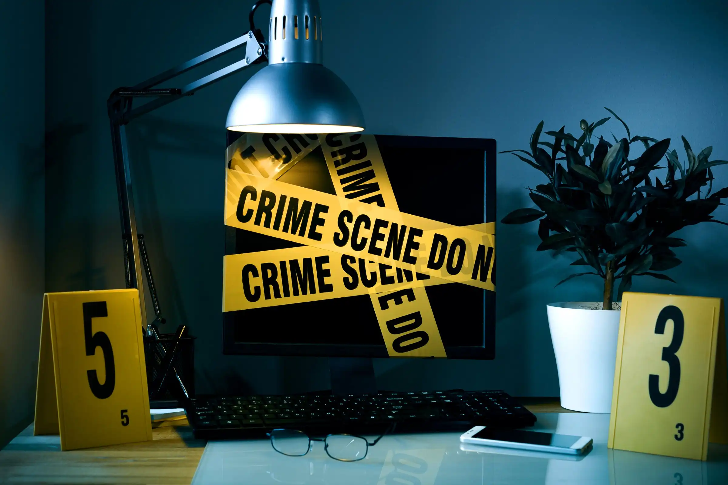 Legal Consequences for Hackers