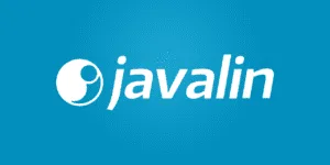 Javalin: Working with HTTP requests