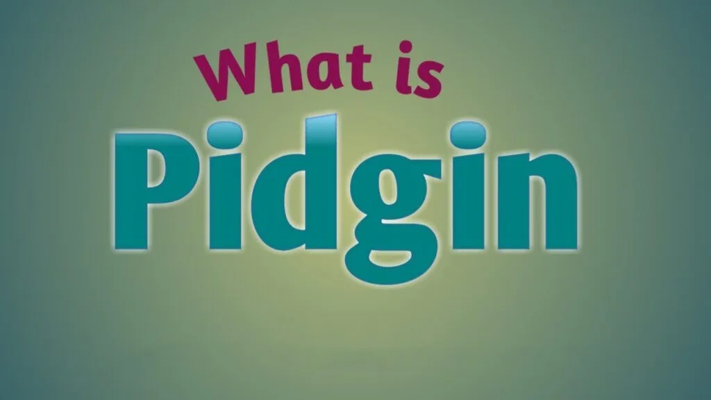 Overview of Pidgin Programming Language