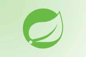 Java Spring: Power Unleashed