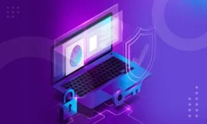 What is a Software Security Assessment?