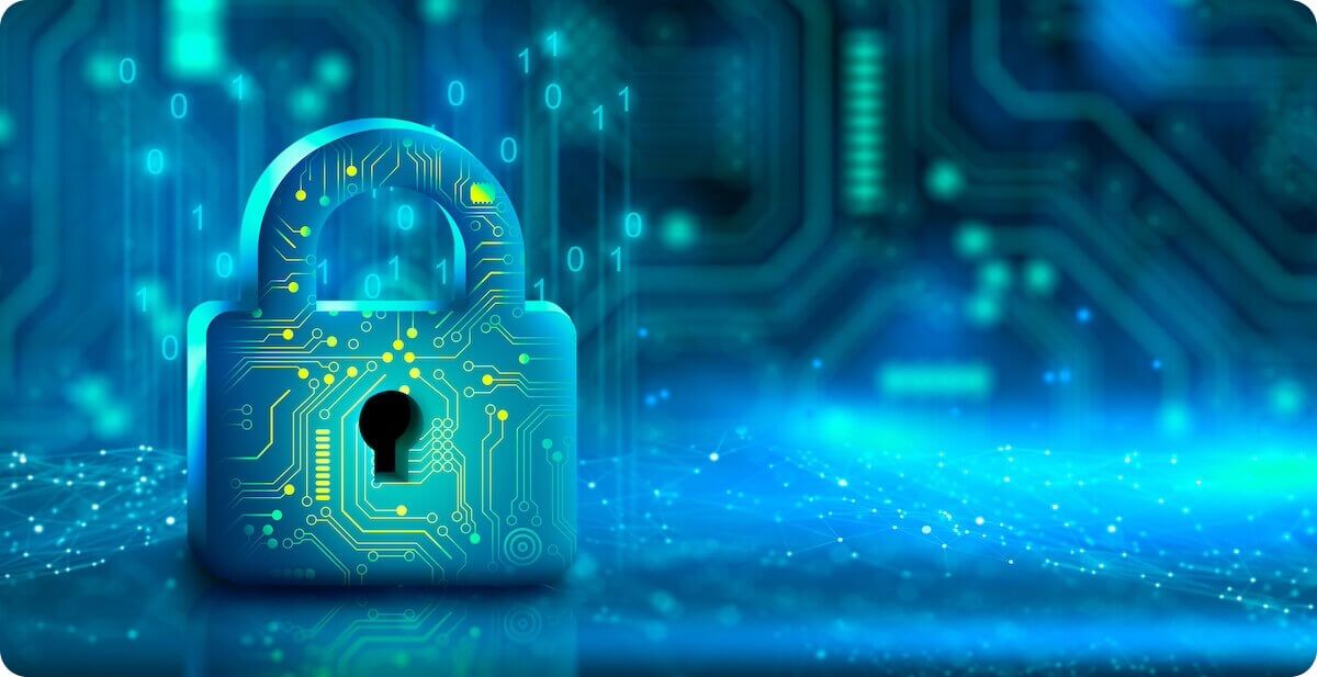 Safeguarding privacy and security in Artificial intelligence and Machine Learning implementations