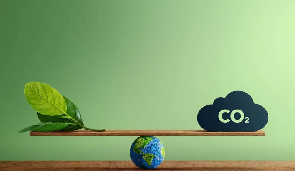 Creating a Greener Future: How Green App Development Helps the Planet 10 How Green Apps Reduce Digital Pollution