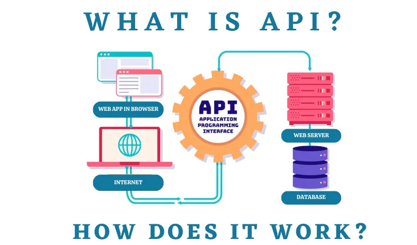 API Development Essentials: Key Concepts Every Business Owner Should Know 9 What Is an API and How Does It Work?