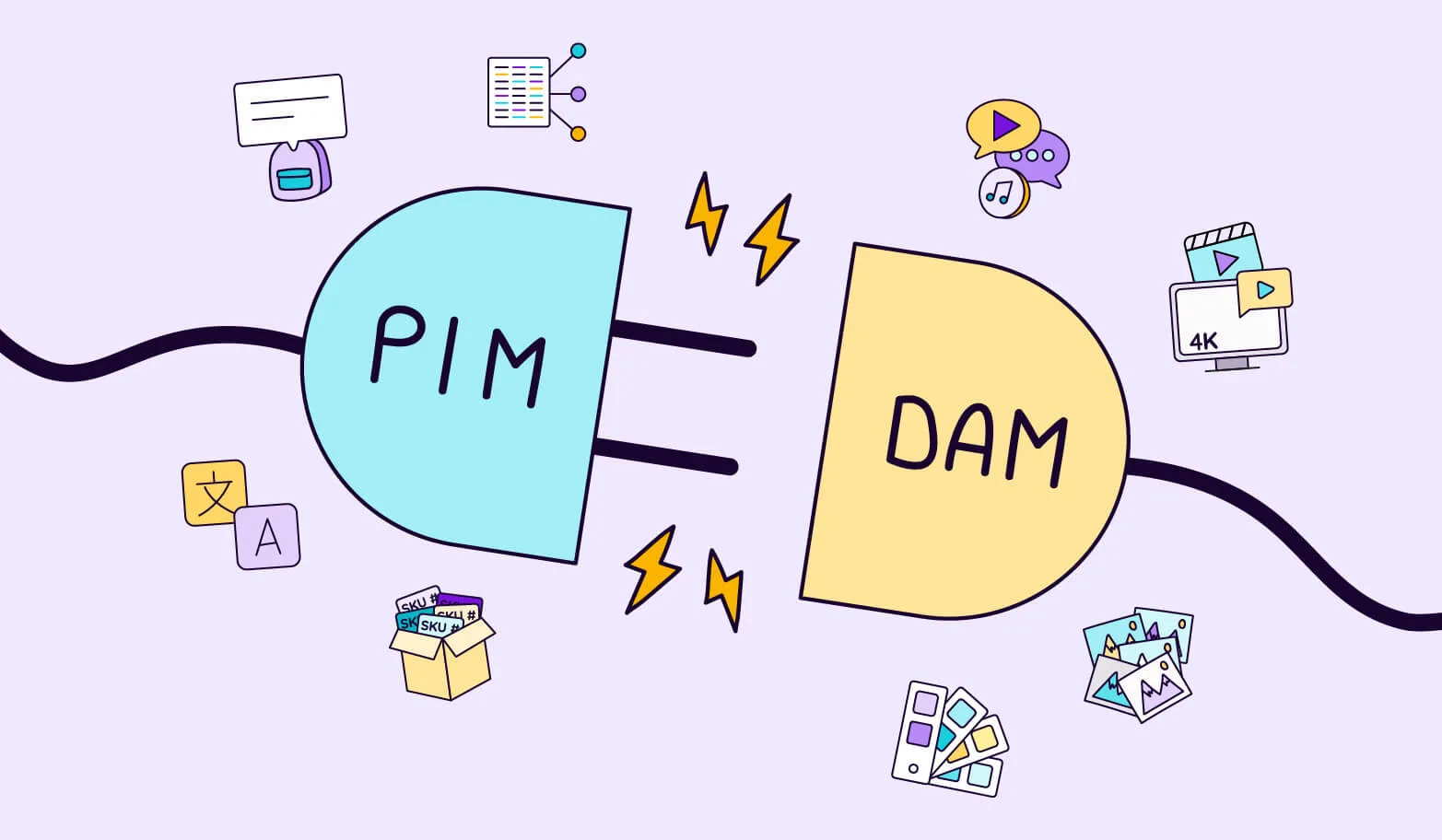 PIM, DAM or Both?