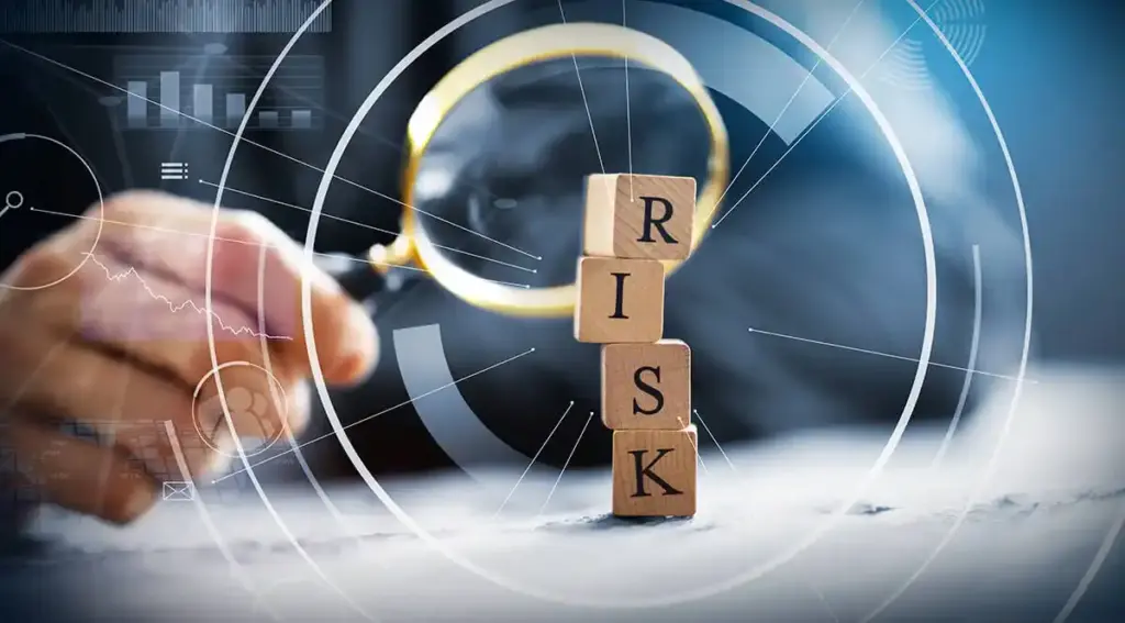 Risk Detection and Risk Management