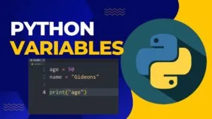 How to Use Variables in Python 3: Complete Beginner Guide (2025–2026)