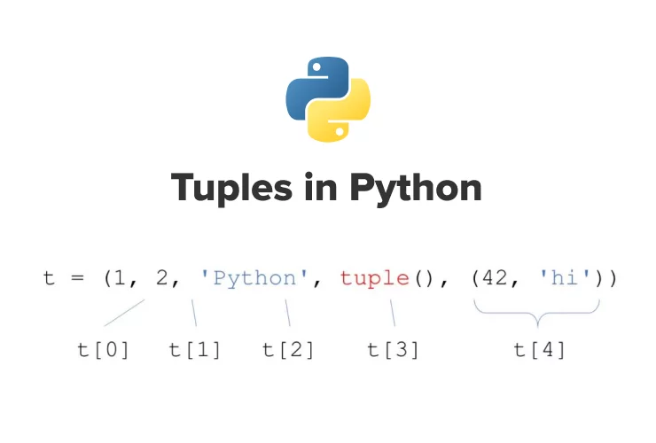 Understanding Tuples in Python 3: Complete Guide with Examples (2025–2026)