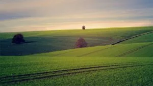 Graswald AI: 7 smart wins for stunning 3D nature scenes