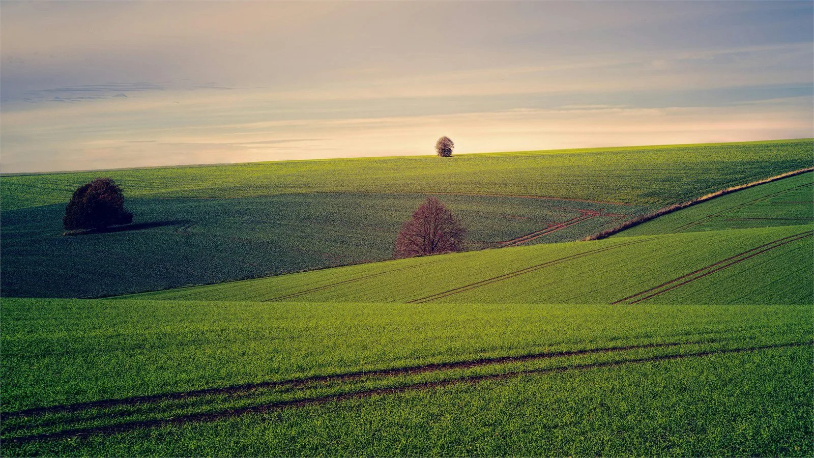 Graswald AI concept with a lush green meadow landscape at sunset