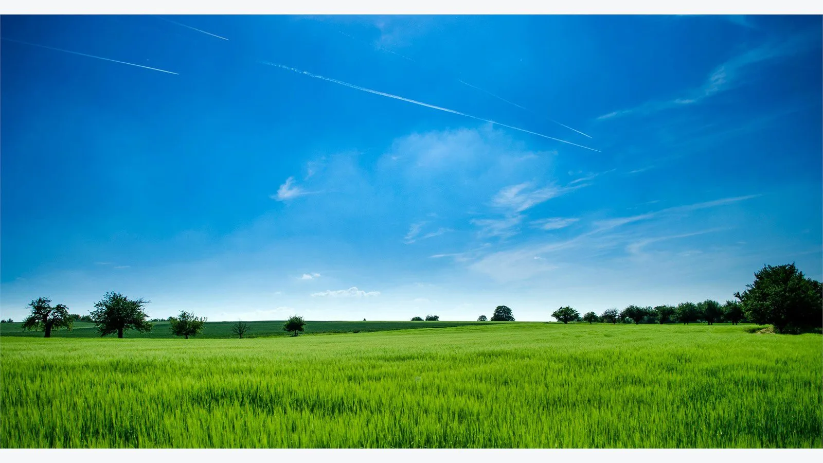 Graswald AI: 7 smart wins for stunning 3D nature scenes 14 Graswald AI tool comparison concept with a panoramic rural landscape under a bright blue sky
