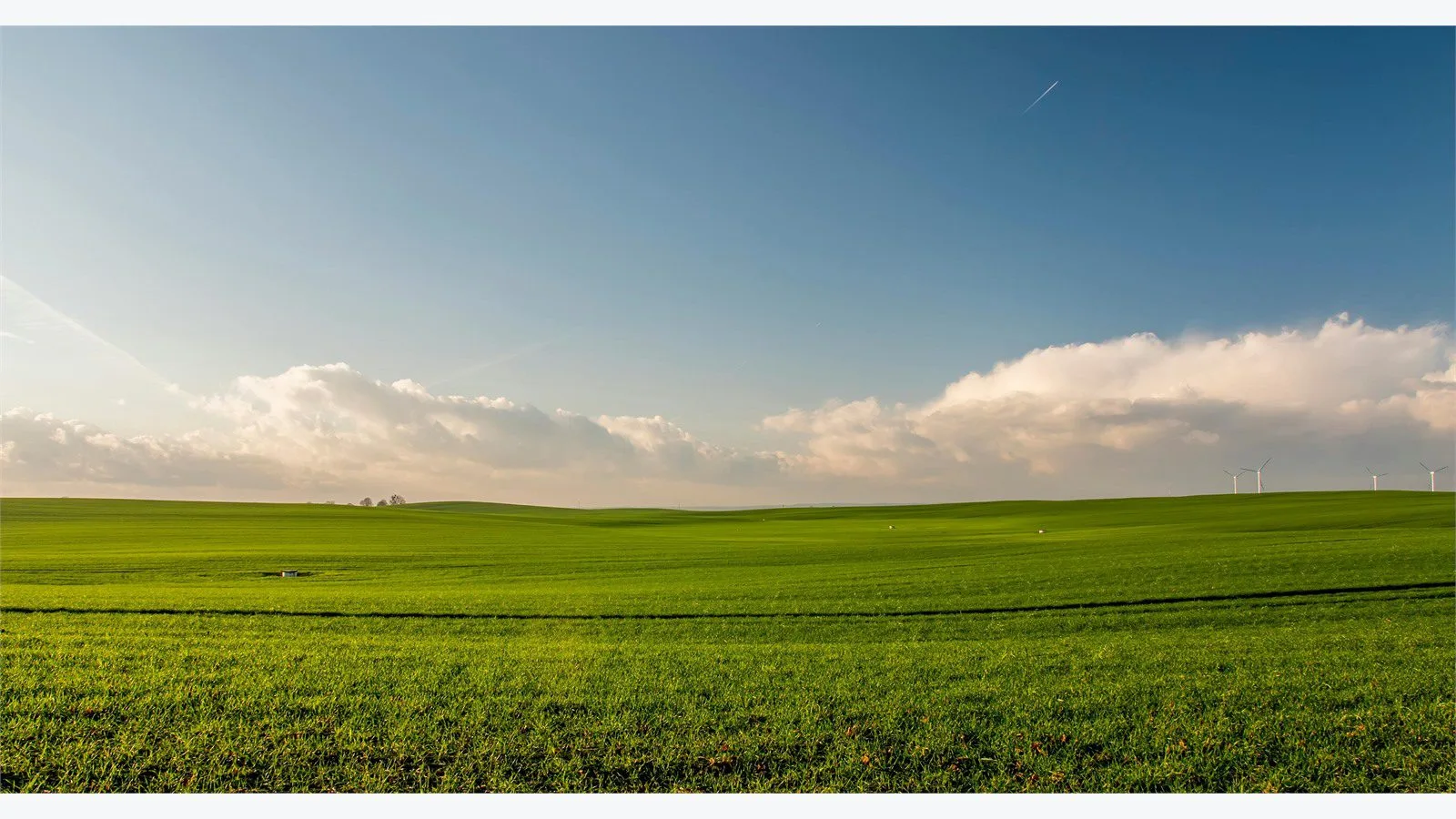 Graswald AI: 7 smart wins for stunning 3D nature scenes 13 Graswald AI scattering concept with an expansive green meadow and wind turbines on the horizon
