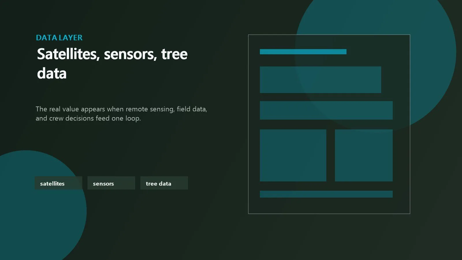 Weyerhaeuser AI: 7 bold moves digitizing the forest 12 Weyerhaeuser AI shown through satellite imagery, field sensors, and tree-level forestry data
