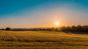 Agritech Infrastructure: Scalable IT and IoT for Autonomous Farming and Soil Analytics