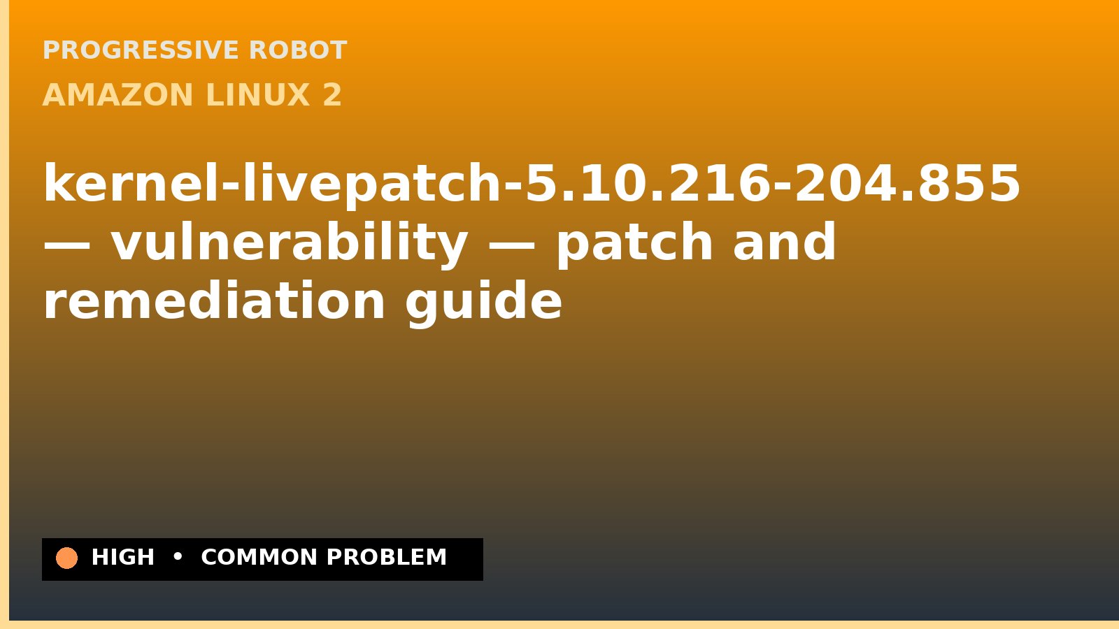 Amazon Linux 2 — kernel-livepatch-5.10.216-204.855 — vulnerability — patch and remediation guide — diagnosis and fix on Amazon Linux 2