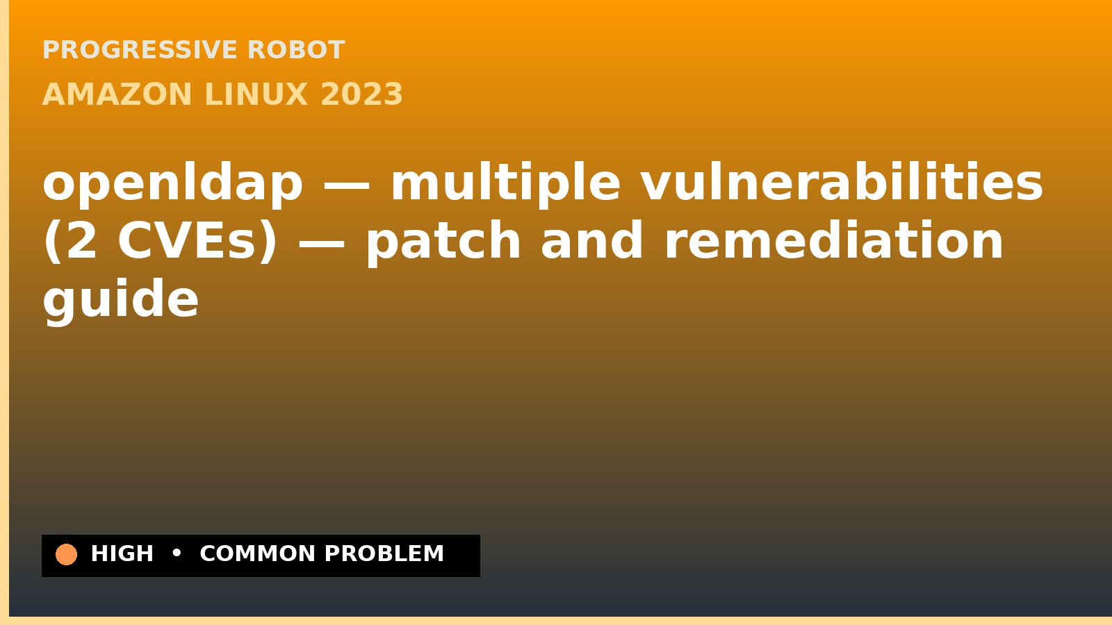 Amazon Linux 2023 — openldap — multiple vulnerabilities (2 CVEs) — patch and remediation guide — diagnosis and fix on Amazon Linux 2023