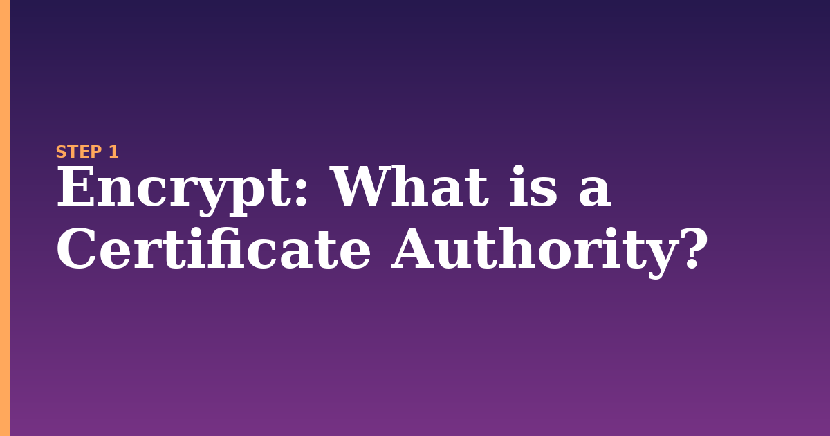 encrypt illustration for: What is a Certificate Authority?
