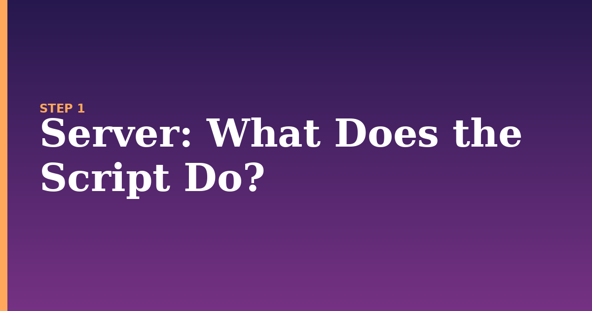 server illustration for: What Does the Script Do?