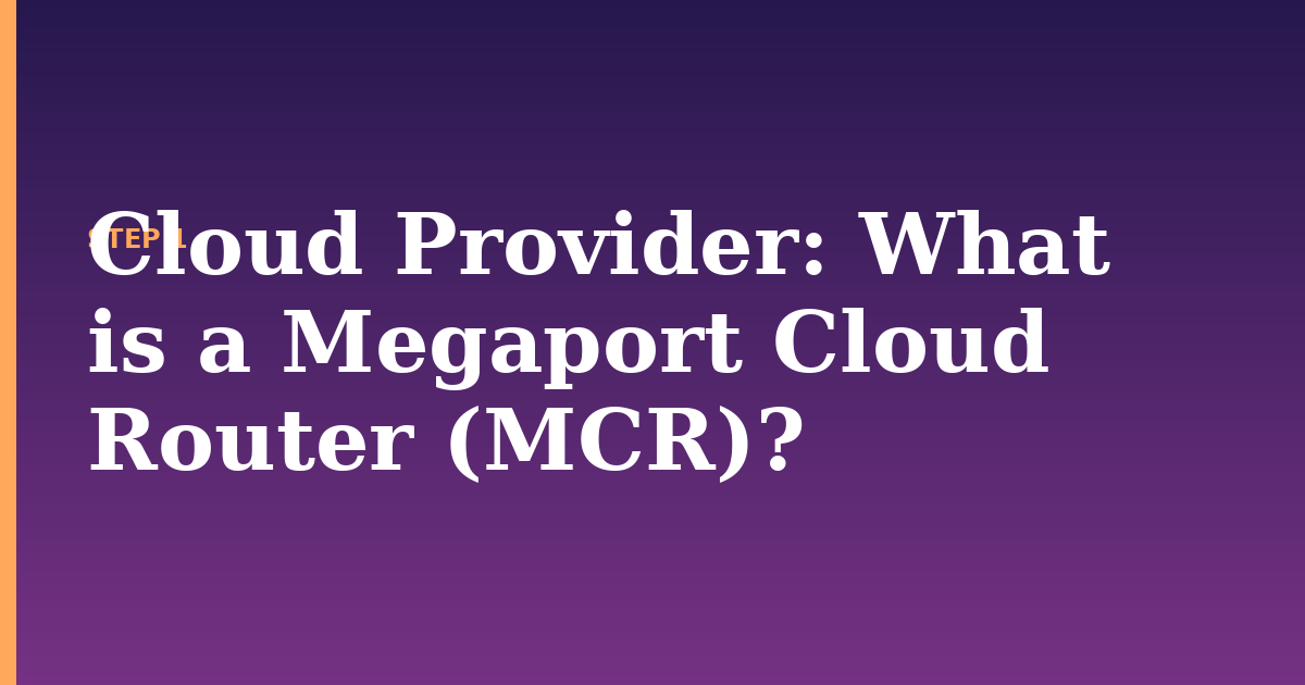 cloud provider illustration for: What is a Megaport Cloud Router (MCR)?