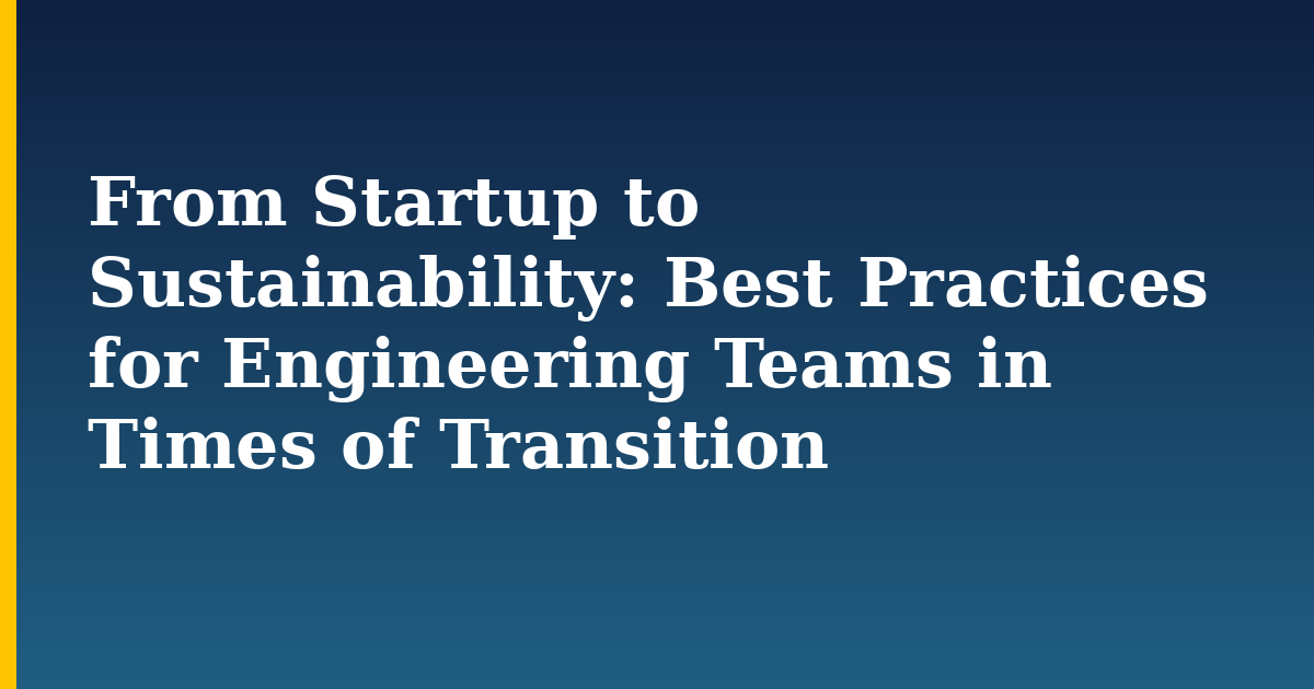 From Startup to Sustainability: Best Practices for Engineering Teams in Times of Transition